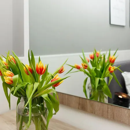 к's Living With Free Parking * Plovdiv