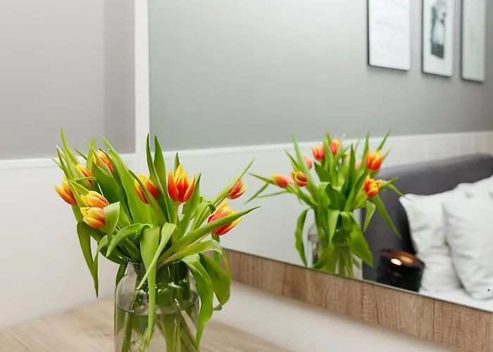 к's Living With Free Parking * 普罗夫迪夫